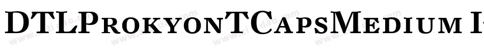 DTLProkyonTCapsMedium Italic字体转换